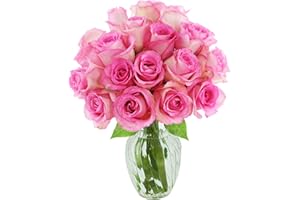 KaBloom PRIME NEXT DAY DELIVERY - Fall Collection - Bouquet of 18 Fresh Pink Roses with Vase. Gift for Birthday, Thank You, Valentine, Mother’s Day Fresh Flowers