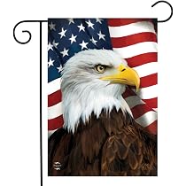 Amazon.com: Briarwood Lane, «American Eagle» (Águila americana ...