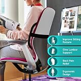 m zimoon Mesh Back Support Lumbar Cushion with Elastic Strap view 2