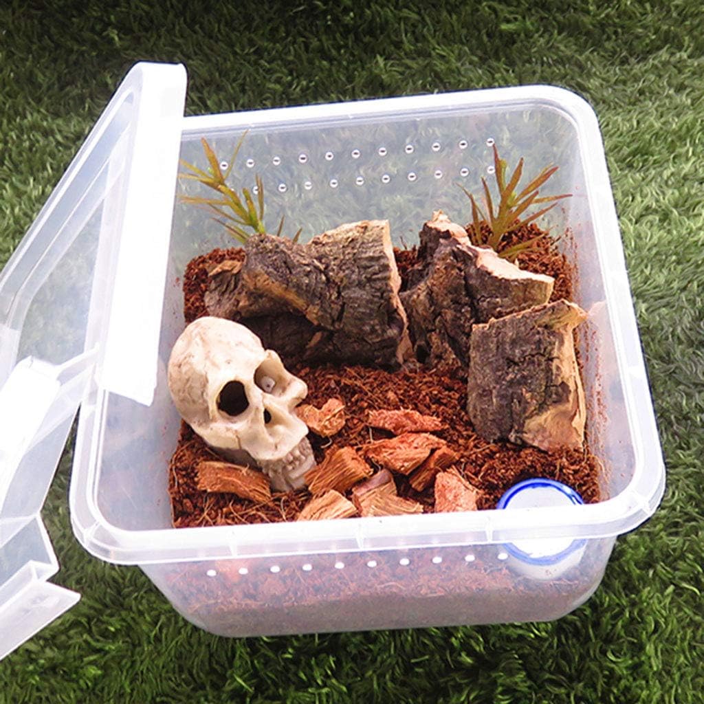 GMSP Reptile Terrarium Feeder Breeding Box Tortoise Spider Lizard Beetle Insect House