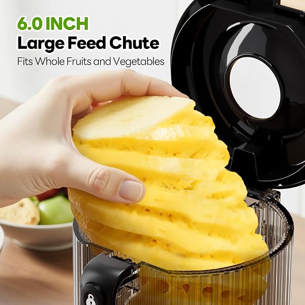 ECOSELF JUICER MACHINES WITH 3 FILTERS (FOR JUICE/SORBET/NUT MILK), SLOW MASTICATING JUICER WITH 6.0″ WIDE MOUTH HOPPER FOR VEGETABLES & FRUITS, SELF FEEDING, JUICER FOR FAMILY PARTY, WITH PUSHER