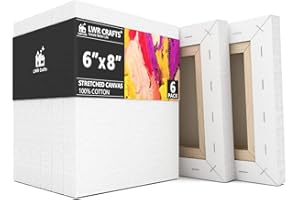 LWR CRAFTS Stretched Canvas 6" X 8" Pack of 6