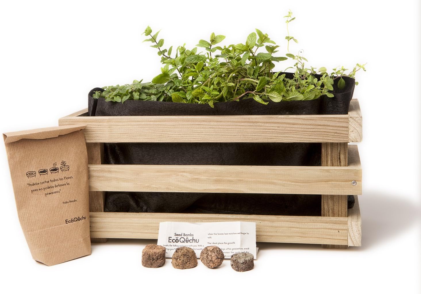 Kit de Cultivo Aromáticas - Orégano, Perejil, Tomillo y Albahaca ...