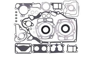 Goodbest New Complete Engine Rebuild Gasket Set for John Deere/Kawasaki Engine FD590 FD590V