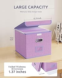 Oterri 3 Pack File Organizer Box,File Box,Small