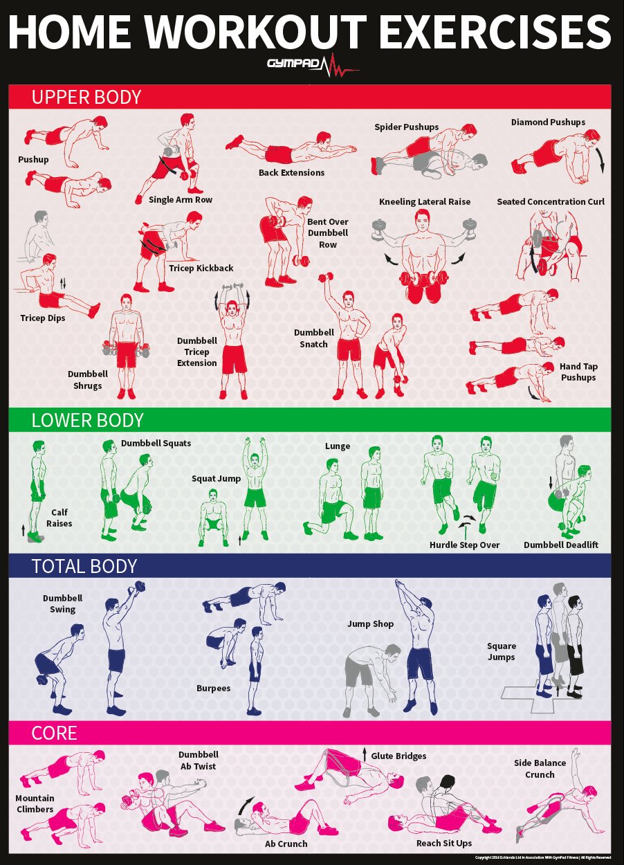 Dumbbell And Bodyweight Home Workout Exercise Poster Build Muscle And Get Lean In The Comfort Of Your Own Home 28 X 20 Premium Quality Wall Poster Buy Online In Angola