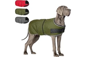 BEAUTYZOO Dog Winter Coat for Large Dogs Waterproof, Warm Reflective Great Dane Oxford Canvas Jacket, Fleece Dog Cold Weather Coats Windproof for Female Male Dogs, Green L