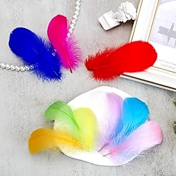 300pcs Colorful Feathers 2-3 Inches Bulk Feathers