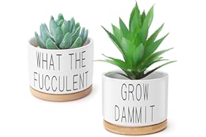 Popvip Succulent Pots, 3.15 Inch Ceramic Funny Planter Pots with Bamboo Tray, Housewarming Gift for Women, Best Friend, Daughter, Mom, Coworker, Pack of 2 - Plants Not Included (A)