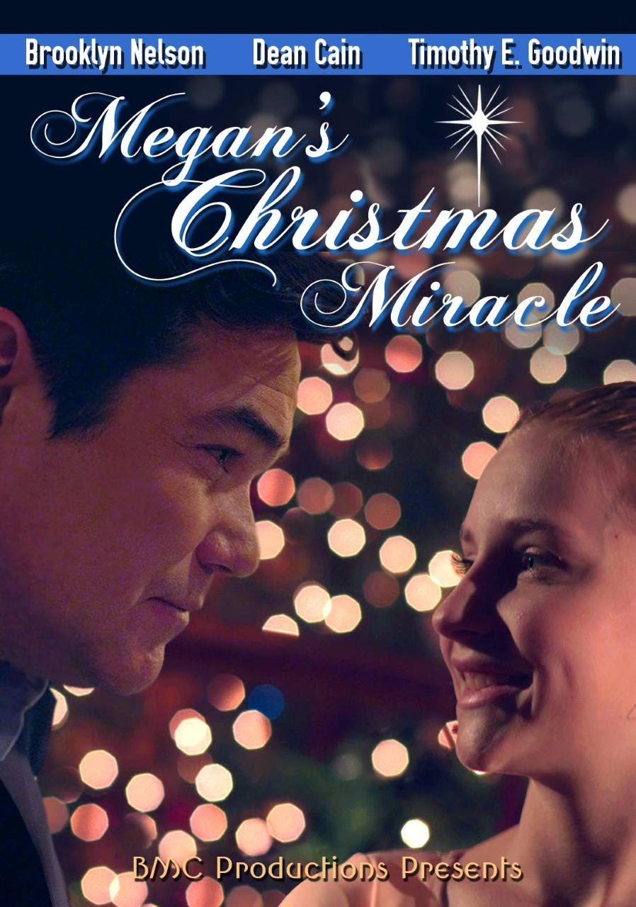 Megan's Christmas Miracle DVD Movies & TV
