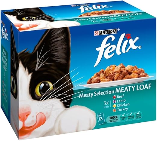 how old is a 20 year old cat in human years