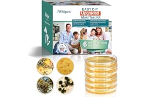 AAwipes Mold Test Kit, 6 Individual Tests for Home House Mold Detector DIY Air Mold Tester Black Mold Includes Detailed Mold Identification Guide (6)