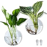CHPINDAM Wall Hanging Planter Propagation Station, Oblate Glass Flower Vase for Propagation, Wall Planter for Indoor Plants, Modern Home Office Corridor Bathroom Decor (2)
