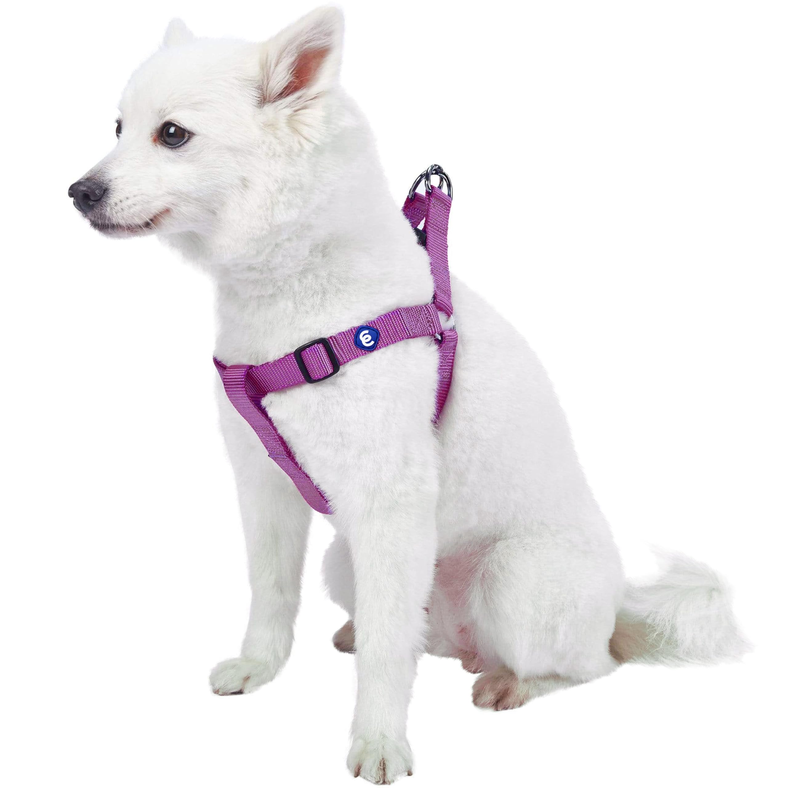 Blueberry Pet Harness. Chest circumference: 42-54 cm, Classic, Solid, Purple, Adjustable Nylon, Dog Harness, Matching Collar and Lead Sold Separately.