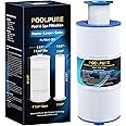 POOLPURE 6541-397 Spa Filter Cartridge Compatible with Sundance Spa Filter 880 Series, 2009-2023, Sundance 6541-397 (with Outer Filter 6473-165 and Inner Filter 6473-164), FC-2772, AK-80802, 1pack