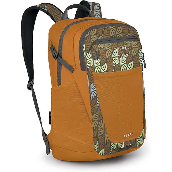 Osprey Arcane XL Day Botanica Heather OS