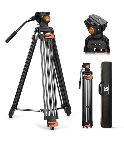 Amazon.com : Manfrotto MVT502AM Video Tripod with Telescopic Twin