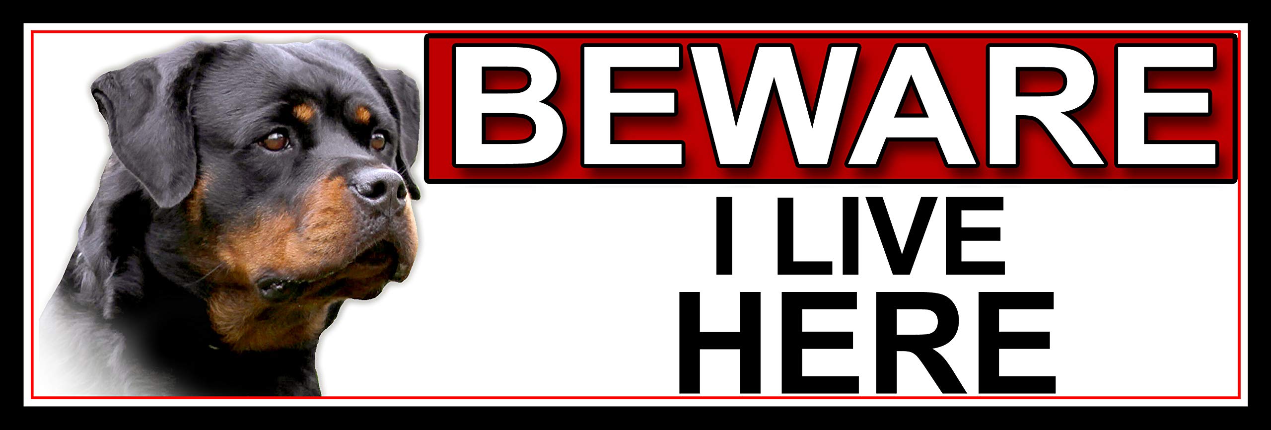 SHAWPRINT Rottweiler BEWARE I LIVE HERE METAL GATE SIGN 266mm x 87m. (471H2)