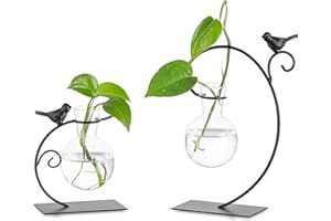 Glasseam Terrarium Plant Propagation Stations, 2Pcs Glass Terrariums for Plants, Desktop Glass Planter Bulb Vase for Office H