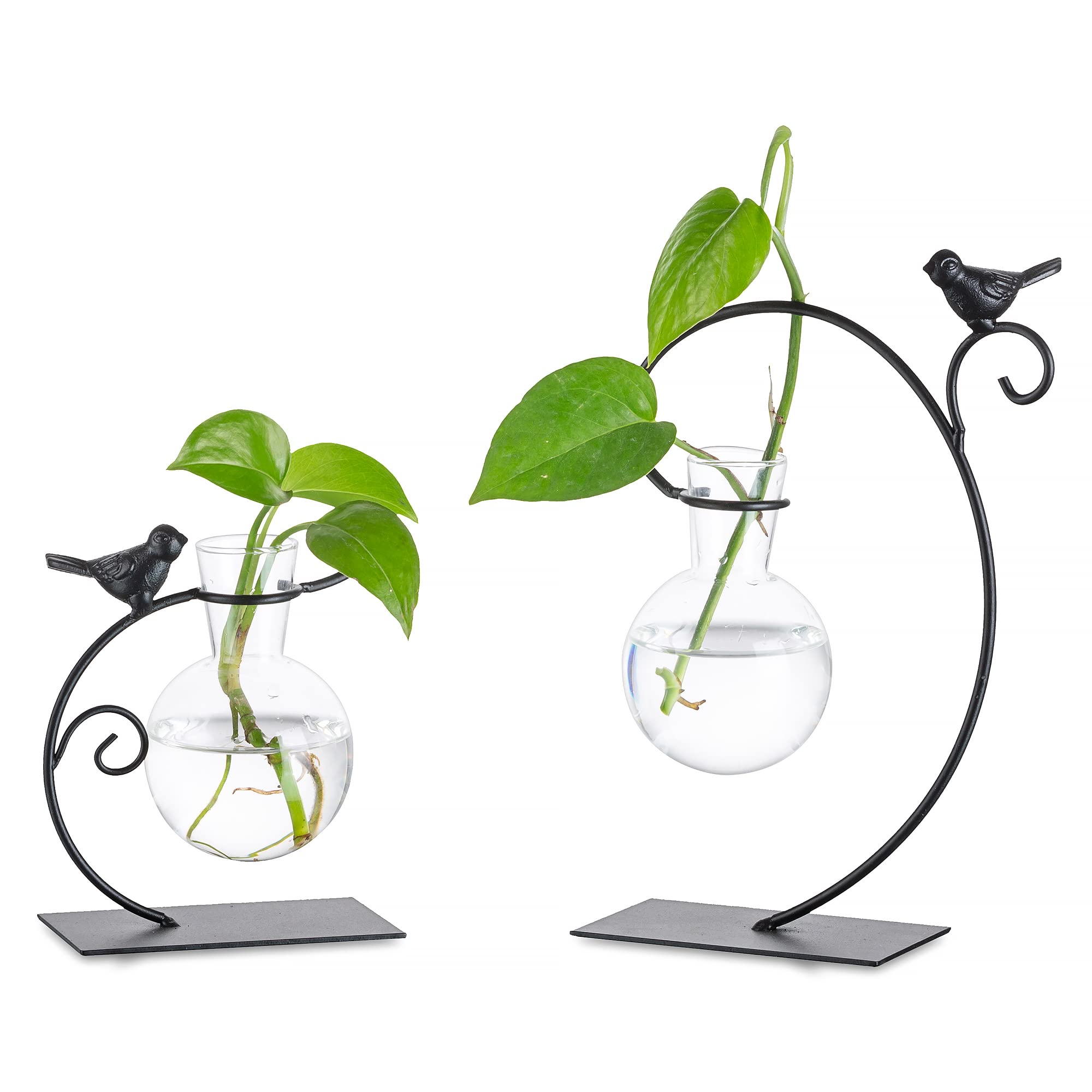 Photo 1 of Glasseam Terrarium Plant Propagation Stations, 2Pcs Glass Terrariums for Plants, Desktop Glass Planter Bulb Vase for Office Home Decor, Hydroponic Propogation Jars Propagate Station Gifts for Women