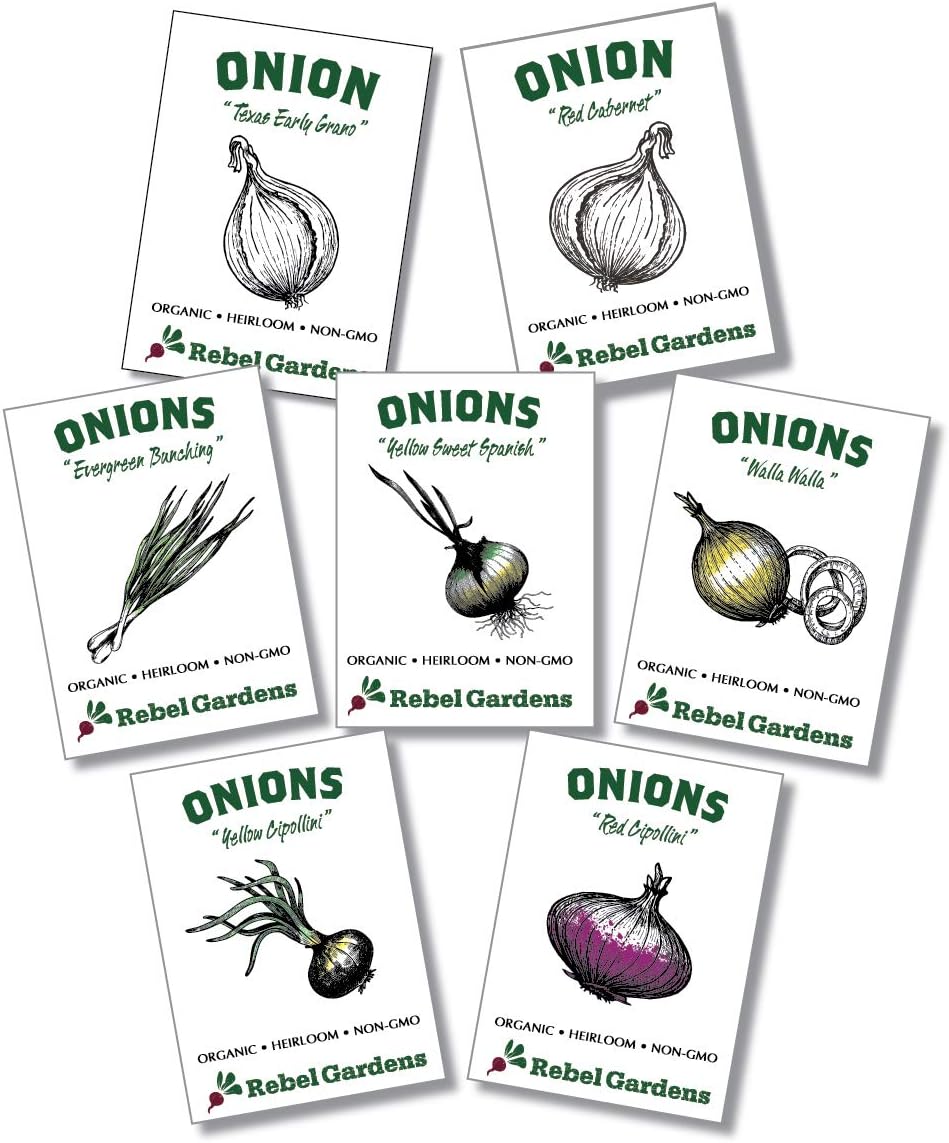 Organic Onion Seeds - 7 Varieties of Heirloom and Non-GMO Red, Yellow, and Green Onions for Planting