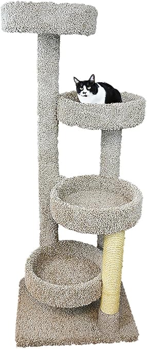 new cat tree