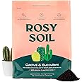Cactus and Succulent Organic Potting Soil Mix for House Plants - Fast Draining, Root Boosting, Peat-Free, Less Prone to Gnats - Drought-Tolerant - Growth of Aloe Vera, Cacti and Indoor Succulents- 4qt