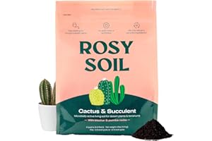 ROSY SOIL Cactus and Succulent Organic Potting Soil Mix for House Plants - Fast Draining, Root Boosting, Peat-Free, Less Prone to Gnats - Drought-Tolerant - Growth of Aloe Vera, Cacti and Indoor Succulents- 4qt