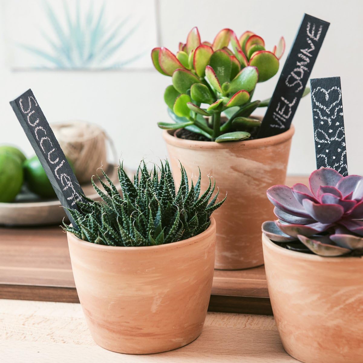 Navaris Garden Markers Set, Set of 10 Natural Slate Plant Labels for Herbs Pots and Garden - Image 4