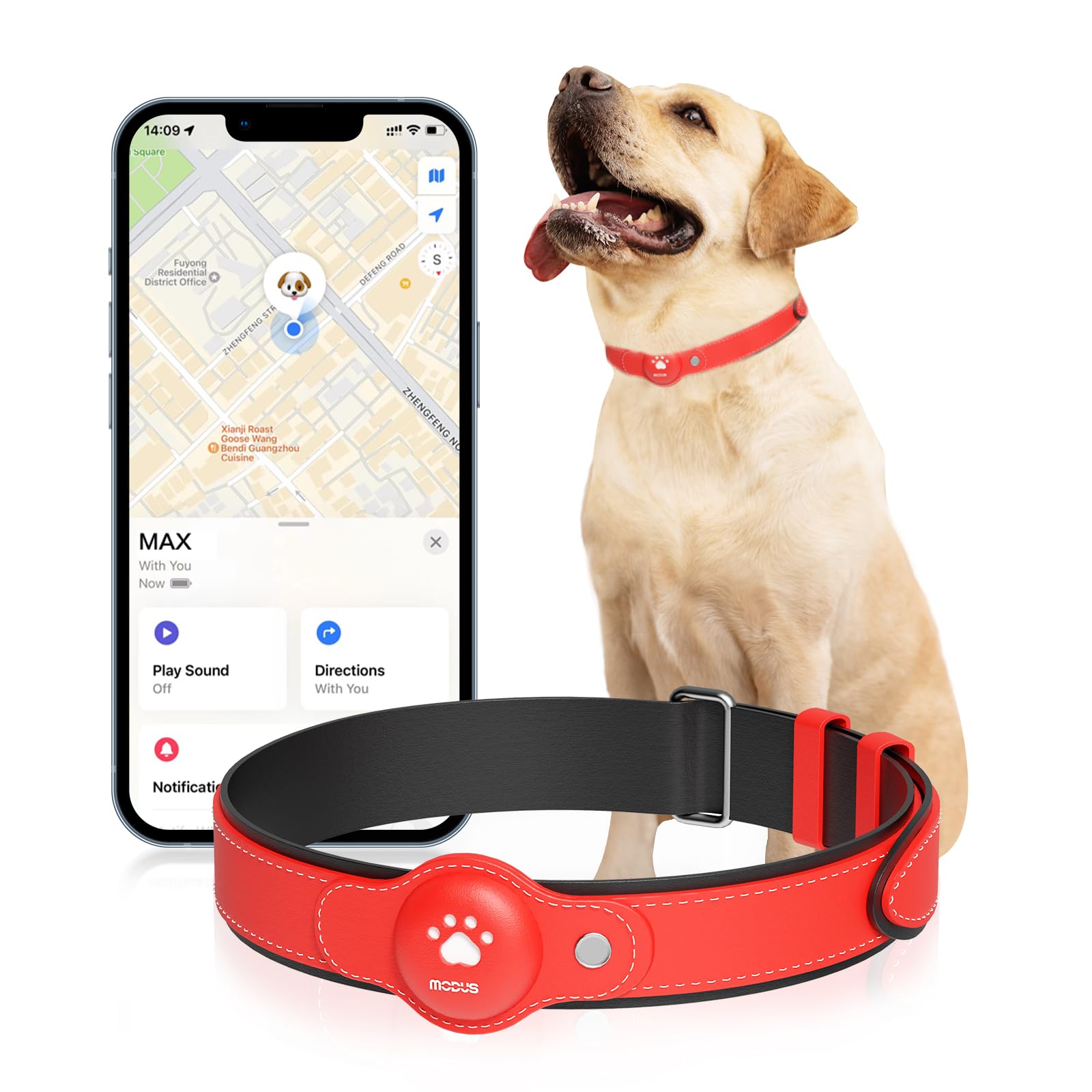 Best Dog GPS Collar No Monthly Fee: Top Reliable Picks 2026