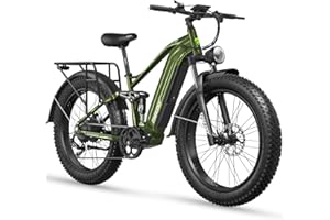 FREESKY 3000W Electric Bike for Adults, 37MPH & 95Miles Range, Dirt All-Terrain Electric Bicycle, 48V 25Ah Removable Battery,