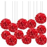 XIKSXITN 12pc Red Tissue Paper Pompoms-Hanging Paper Pom Poms Paper Flowers Ball for Party Decorative(10&12inch)