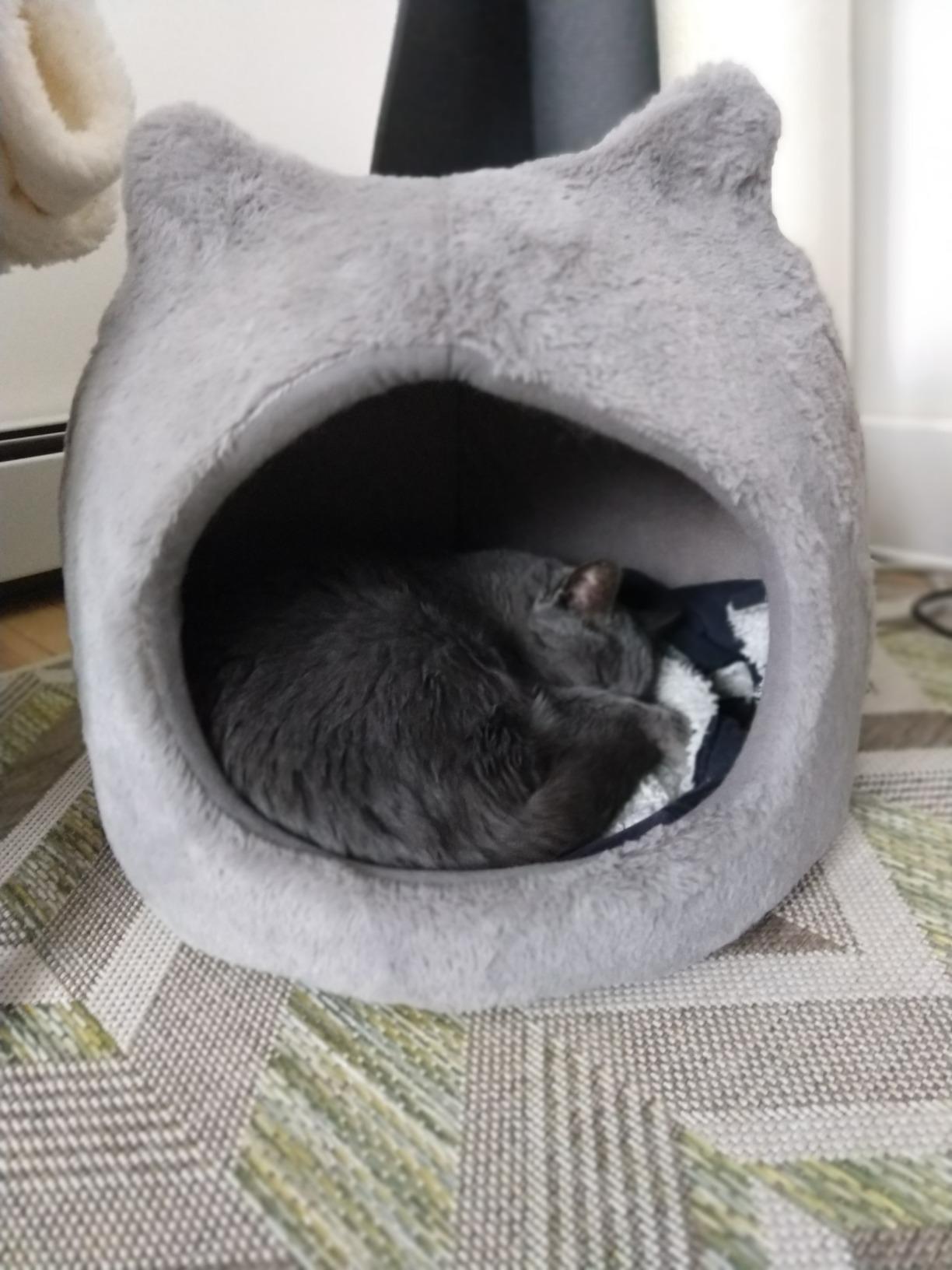 best friends by sheri meow hut