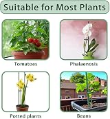 MEEYUU 20Pcs Plant Stakes 60cm Support Sticks for Indoor Outdoor Plants view 5