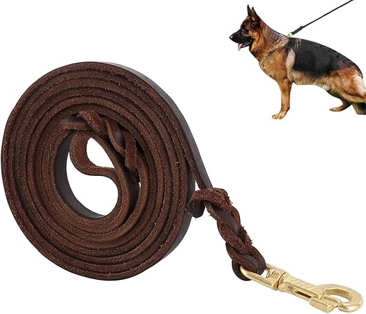 10 foot leash
