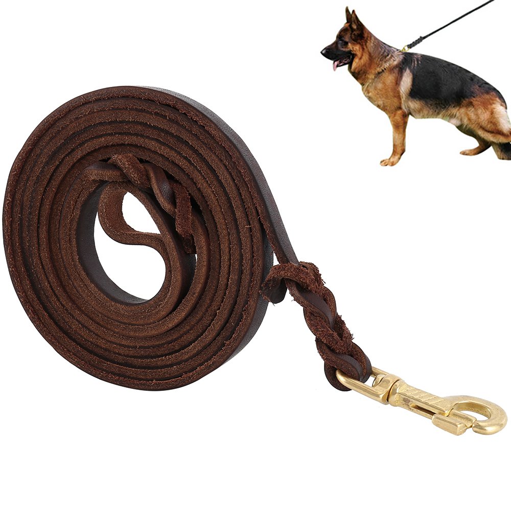 LITTLEGRASS Premier Braided Leather Dog Leash 6/8/10 ft for Strong Medium Large Dogs, Leather Heavy Duty Training Leash (10FT)