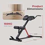 Sunny Health & Fitness Hyperextension Roman Chair with Dip Station Black view 6