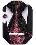 DiBanGu Silk Paisley Ties for Men Woven Necktie and