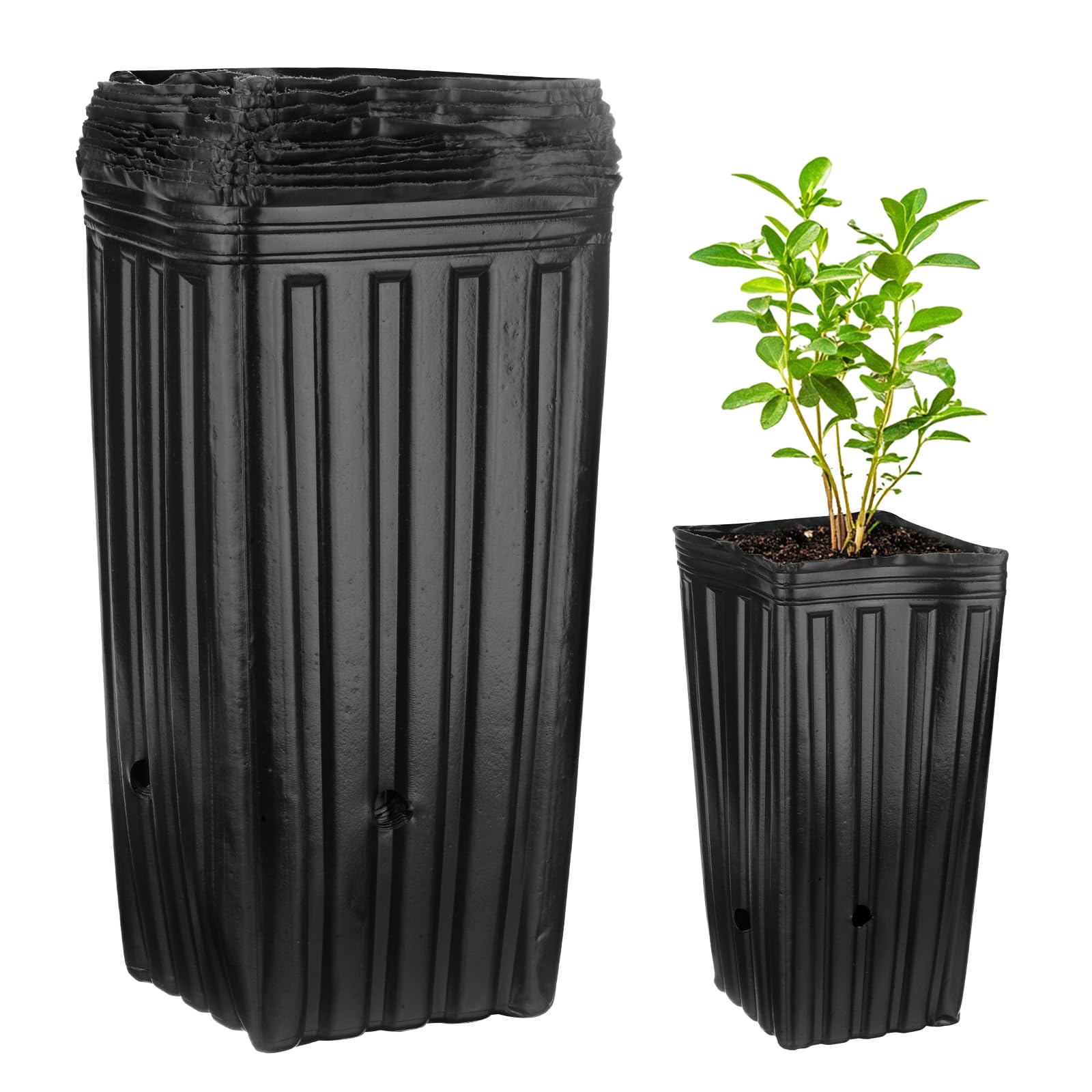 M METERXITY 20-Pack Plant Nursery Pots, 6.3x6.3x12.6 Inch Plastic Deep Growing Nursery Pots Succulent Planter Flower Tree pots with Drainage Holes for Indoor Outdoor Gardening [Black]