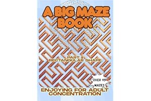 A Big Maze Book: Enjoying for Adult Concentration