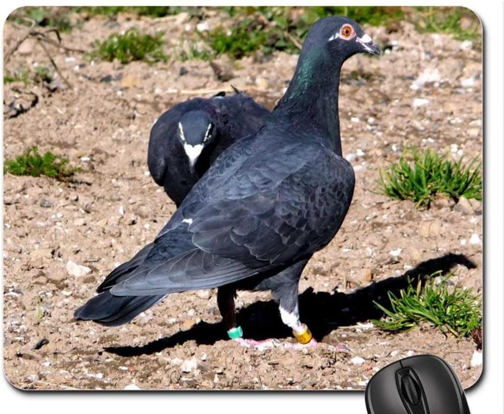 Vina Racing Pigeon Mouse Pad Birds Mouse Pad