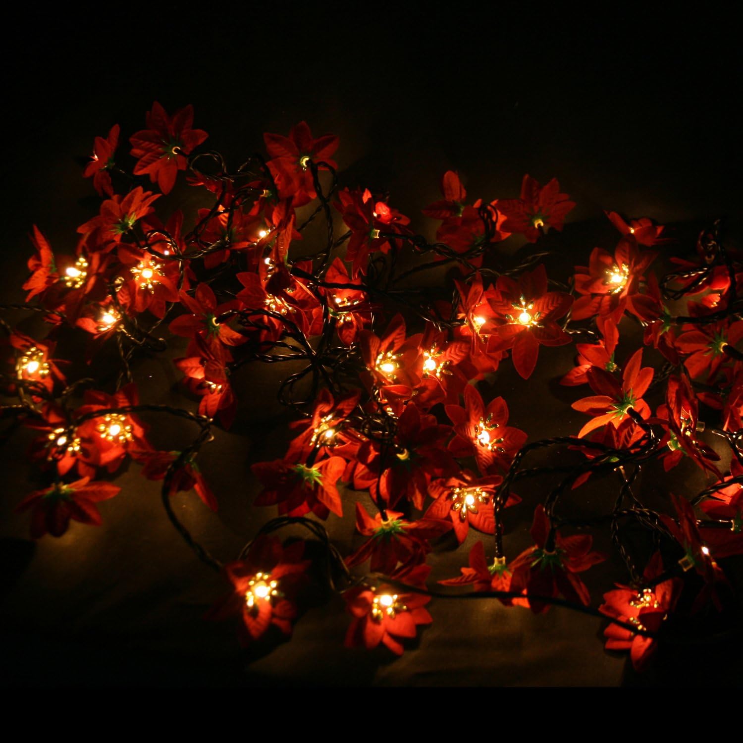 WeRChristmas 80LED Lights String with 13 m Cable and Red Poinsettia