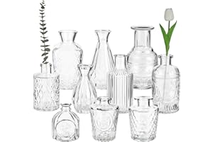 hanmir Glass Bud Vases Set of 10,Clear Bud Vases in Bulk,Vase for Flowers,Small Vases for Centerpieces,Vintage Glass Bottles for Wedding Home Table Decor