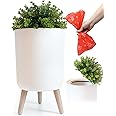 Earth & Mango Small Outdoor Trash Can with Lid - Dog Poop Trash Can Outside - Plant Styled Outdoor Garbage Can - 1.8 Gallon -