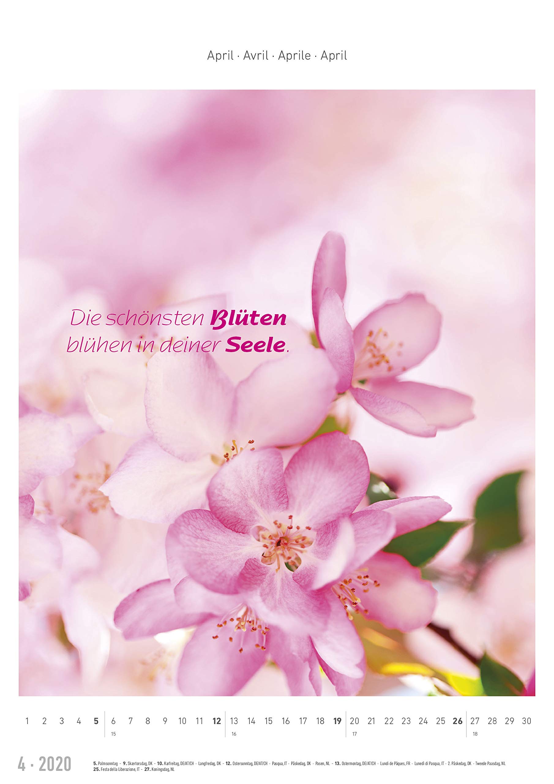 Inspiration 2020 9783840703218 Amazon Com Books