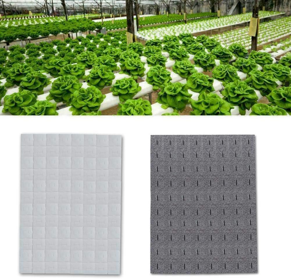 Tammy Yerkes Hydroponics Sponge Eco-friendly Nursery Foam Cubes Plant Vegetables Flower Seedling Growing Media Soilless Cultivation System Gardening Greenhouse Tool Supplies