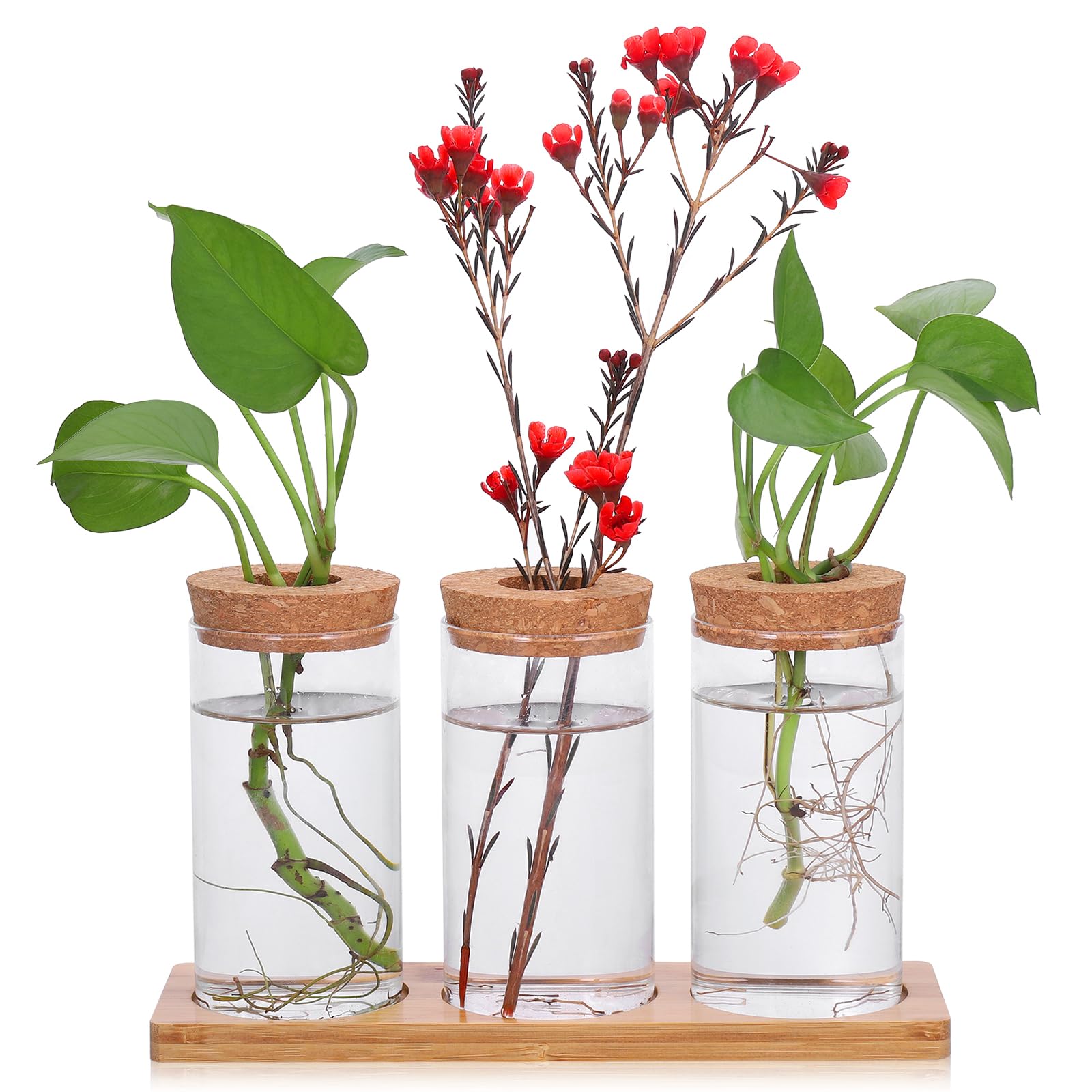 Fentar Propagation Station, Plant Terrarium Jar with Wooden Base and Plug, Stylish Clear Propagation Vase, Elegant Plant Propagation Station for Hydroponic Plants Flower Cuttings Home Desk Decor