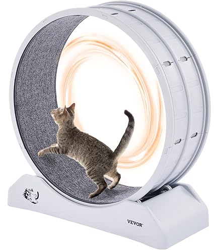 Ferris Wheel Cardboard Cat Exercise Wheel Cat Running Wheel