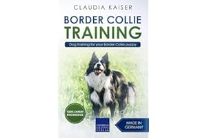 Border Collie Training: Dog Training for your Border Collie puppy