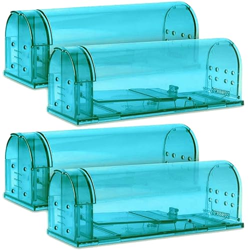 Best Pest Control Traps 10Reviewz